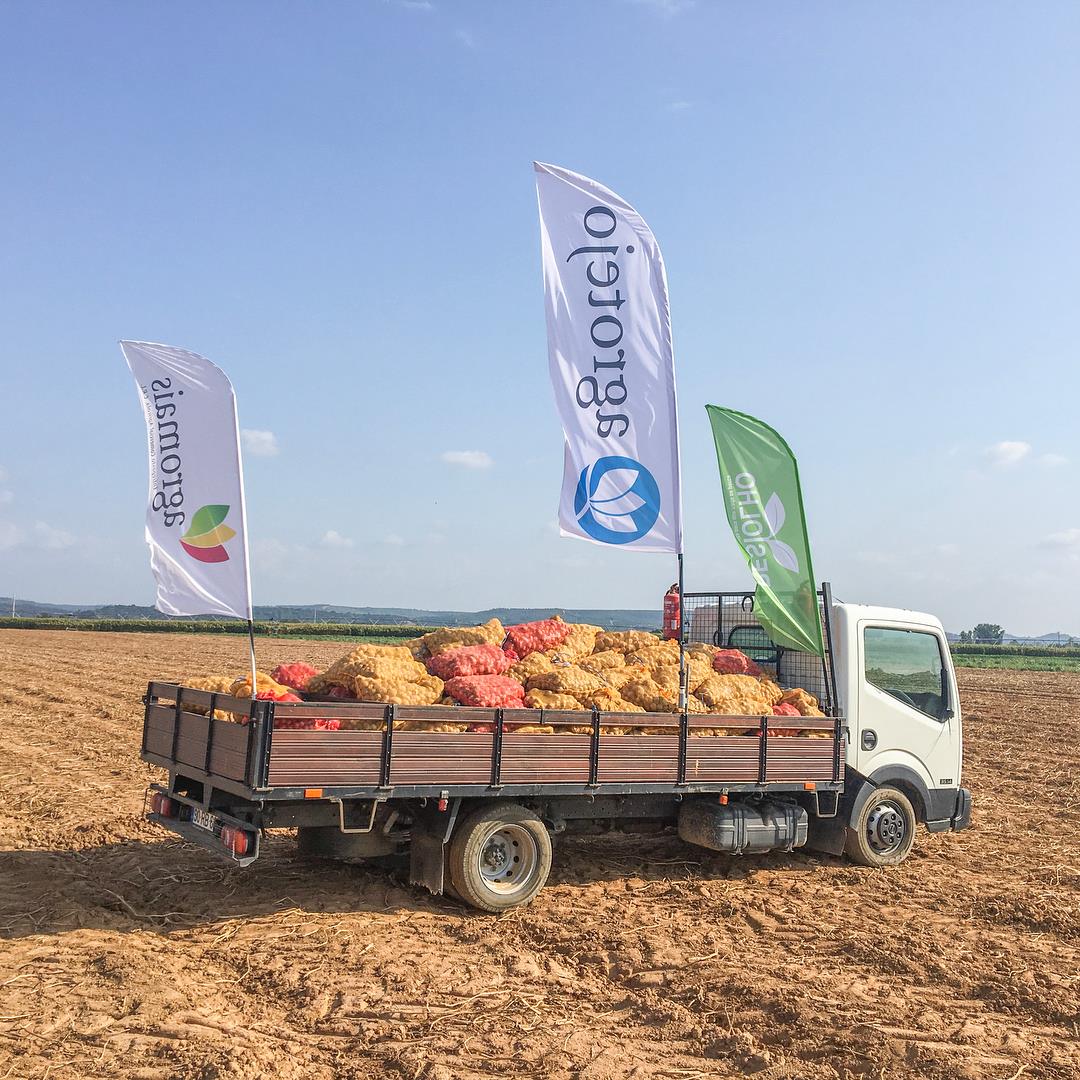 Restolho_Católica 2018_1